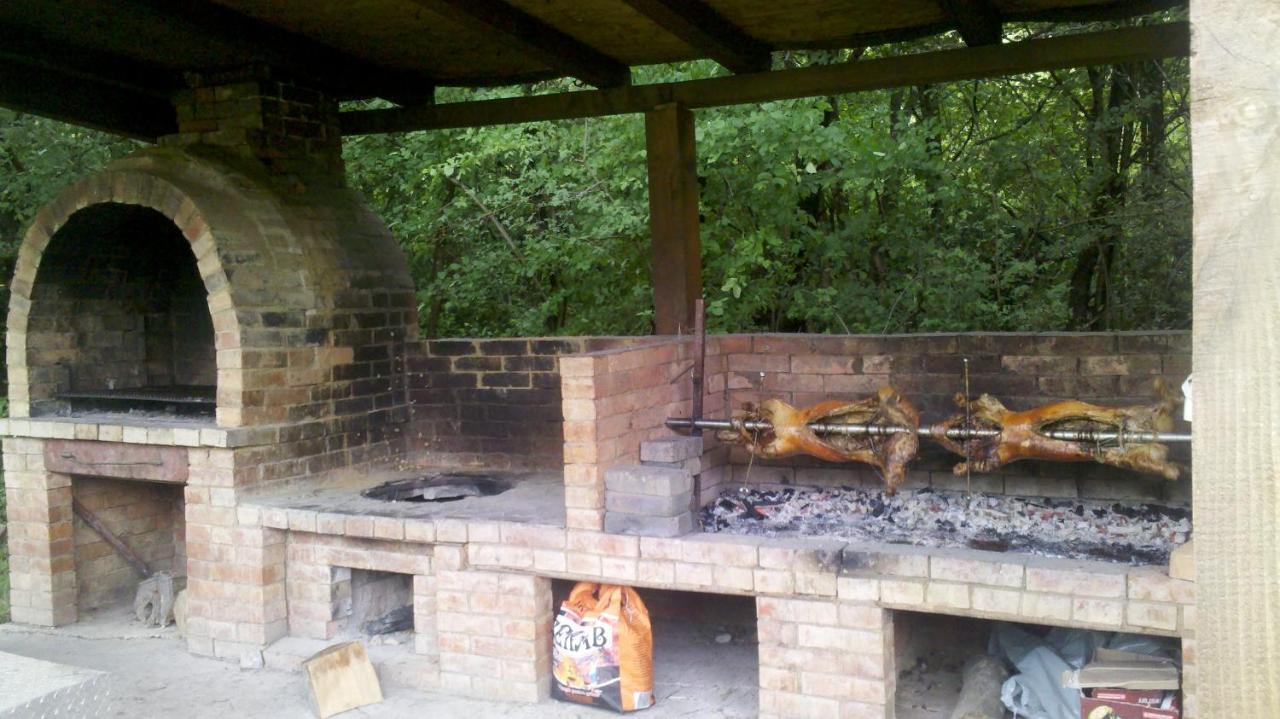 Pensiunea Larysse Băile Felix Εξωτερικό φωτογραφία