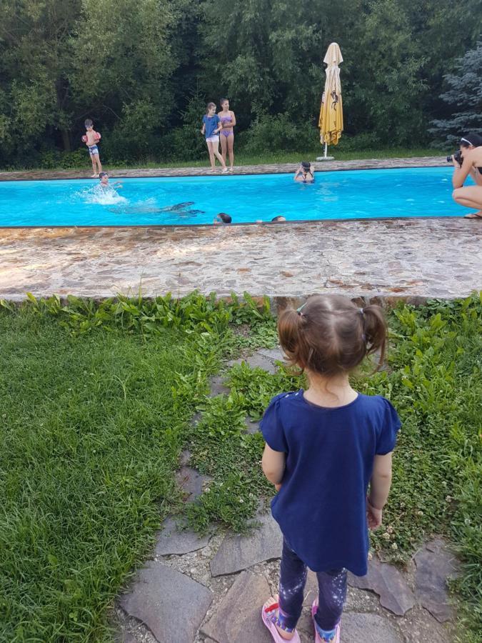 Pensiunea Larysse Băile Felix Εξωτερικό φωτογραφία